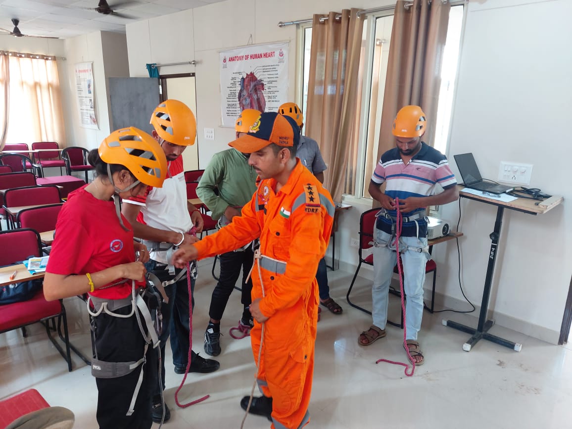 Harness Training